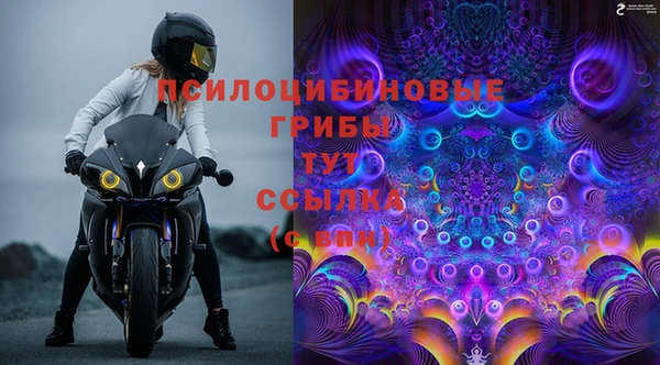 гидропоника Карпинск