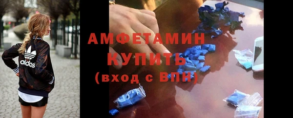 молекула духа Козельск