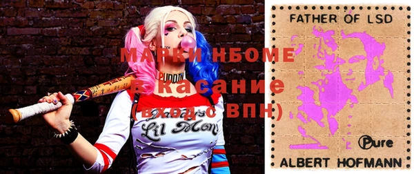 стаф Касимов
