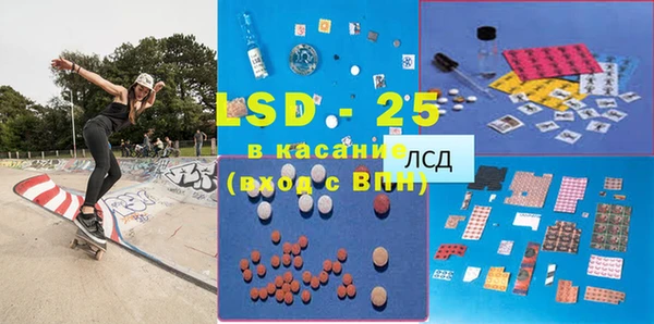 стаф Касимов