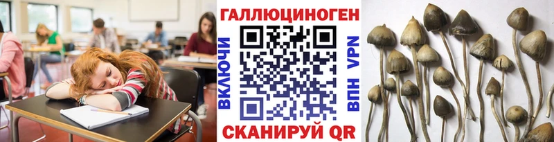 Галлюциногенные грибы Cubensis Катав-Ивановск