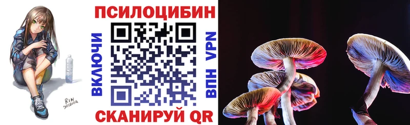 Купить где Катав-Ивановск Галлюциногенные грибы Psilocybe